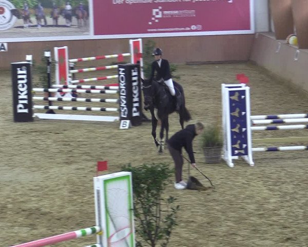 Reitturnier Bad Salzuflen 2022