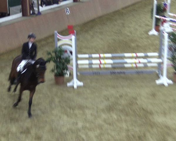 Reitturnier Bad Salzuflen 2022