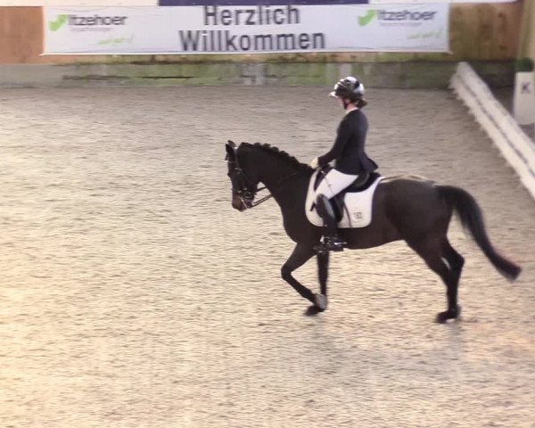 Reitturnier Großenwiehe 2022