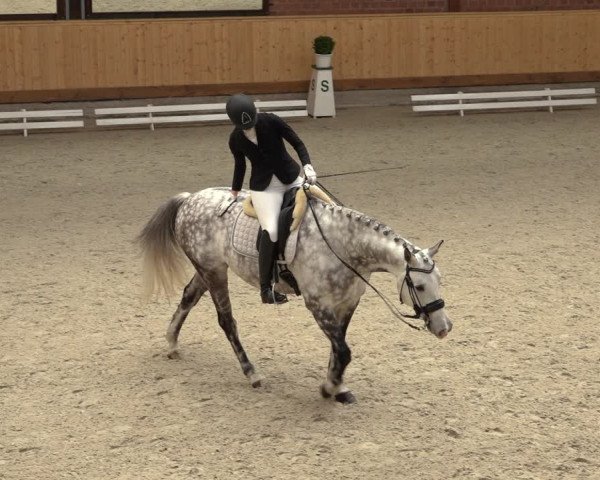 Reitturnier Hamburg-Friedrichshulde/Sylva Kuhrt 2022