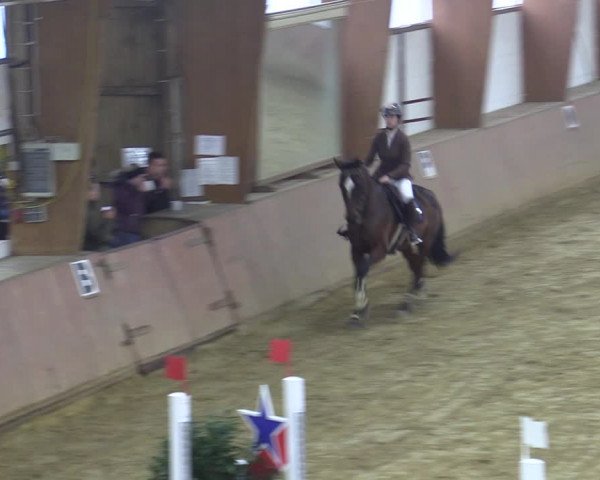 Reitturnier Bad Salzuflen 2022