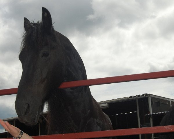 horse Theves fan Lunia (Friese, 1998, from Tsjerk 328)