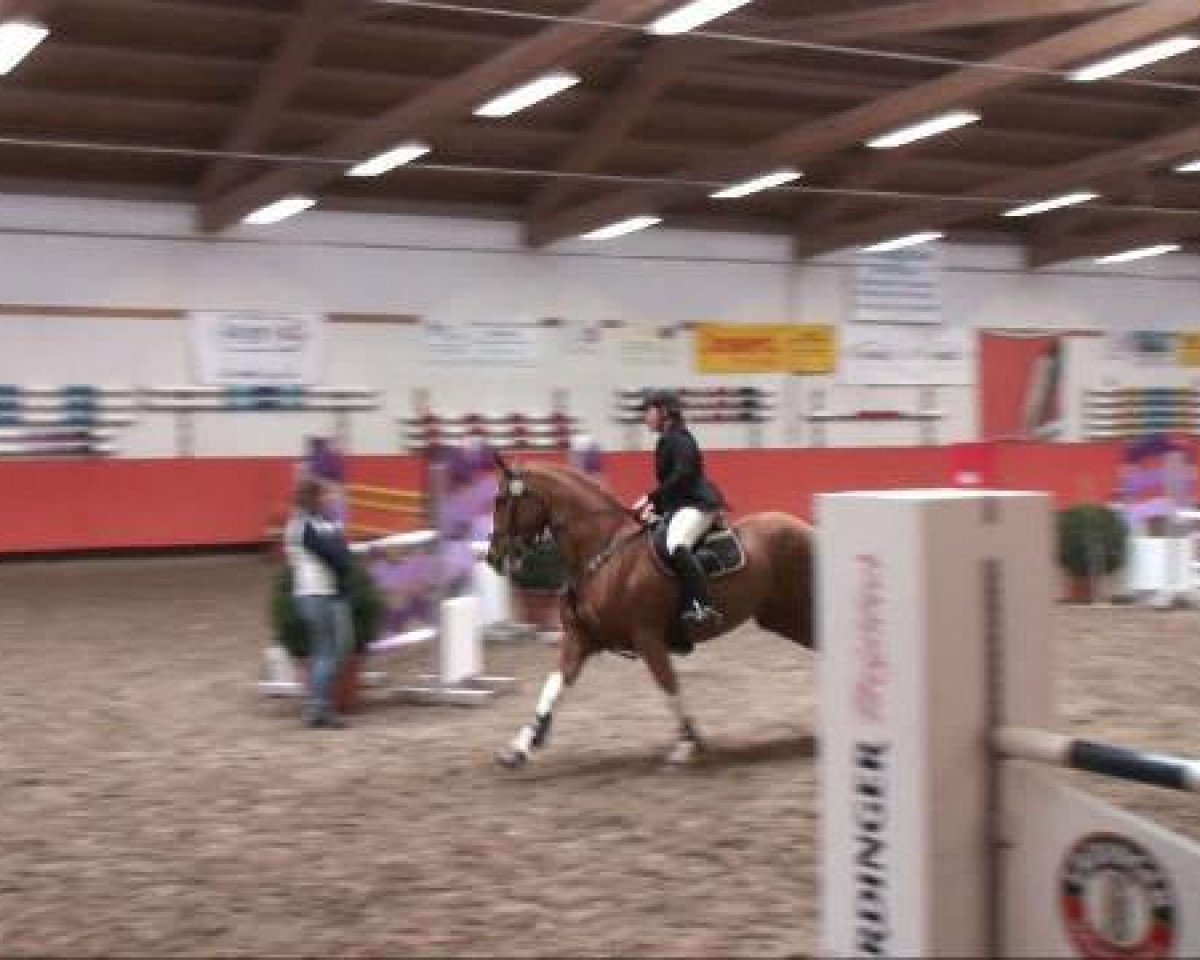 broodmare Vraiment gentille (Hanoverian, 1999, from Escudo I)