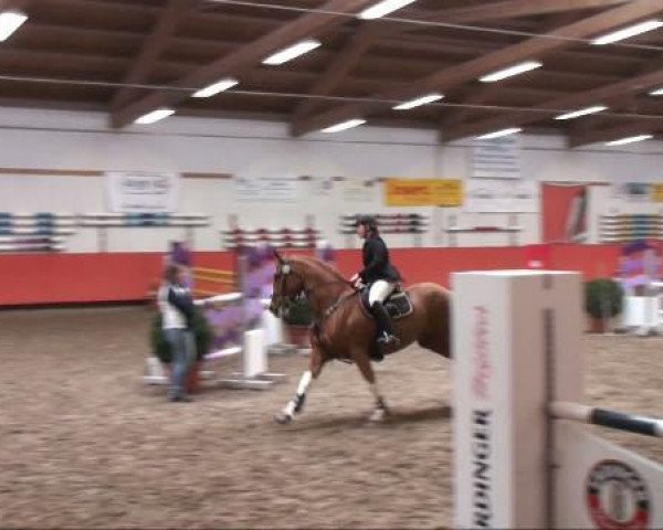 broodmare Vraiment gentille (Hanoverian, 1999, from Escudo I)