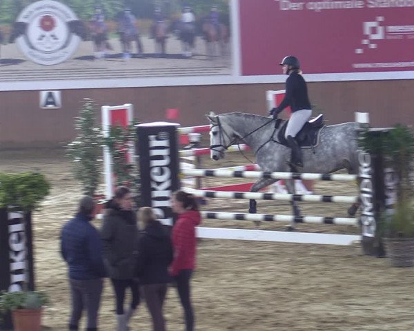 Reitturnier Bad Salzuflen 2022