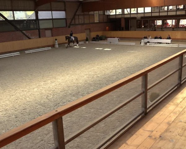 Reitturnier Hamburg-Friedrichshulde/Sylva Kuhrt 2022