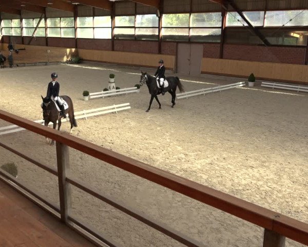 Reitturnier Hamburg-Friedrichshulde/Sylva Kuhrt 2022