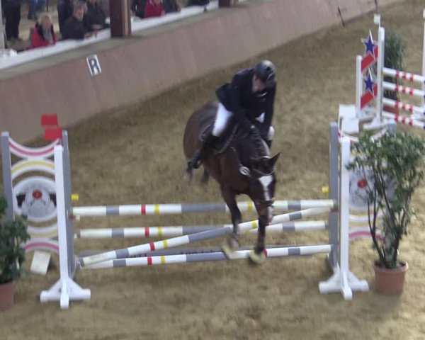 Reitturnier Bad Salzuflen 2022