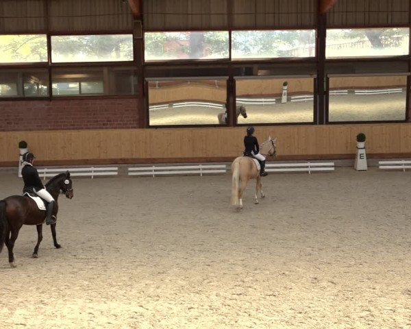 Reitturnier Hamburg-Friedrichshulde/Sylva Kuhrt 2022