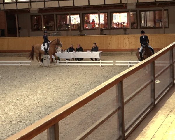 Reitturnier Hamburg-Friedrichshulde/Sylva Kuhrt 2022