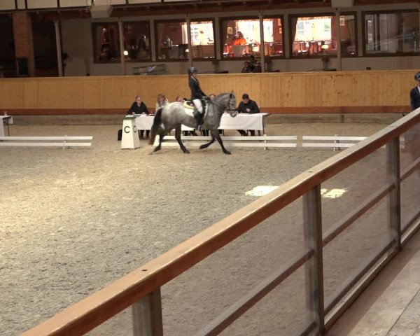 Reitturnier Hamburg-Friedrichshulde/Sylva Kuhrt 2022