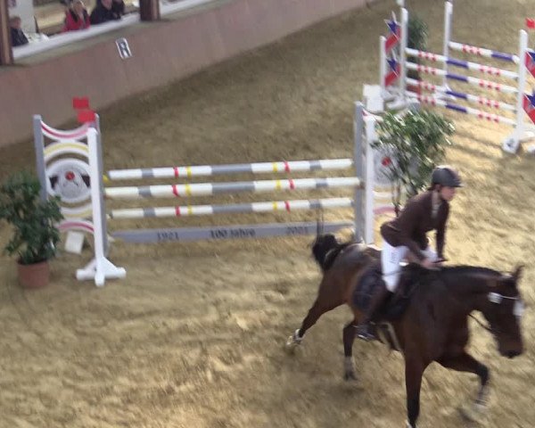 Reitturnier Bad Salzuflen 2022