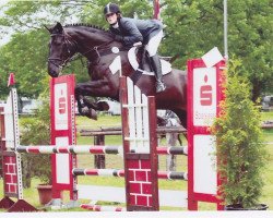 broodmare Crazy Calimba (Westphalian, 2004, from Carry Wind)