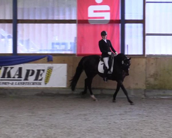 Reitturnier Großenwiehe 2022