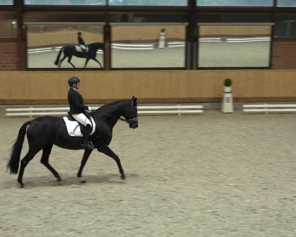 Reitturnier Hamburg-Friedrichshulde/Sylva Kuhrt 2022