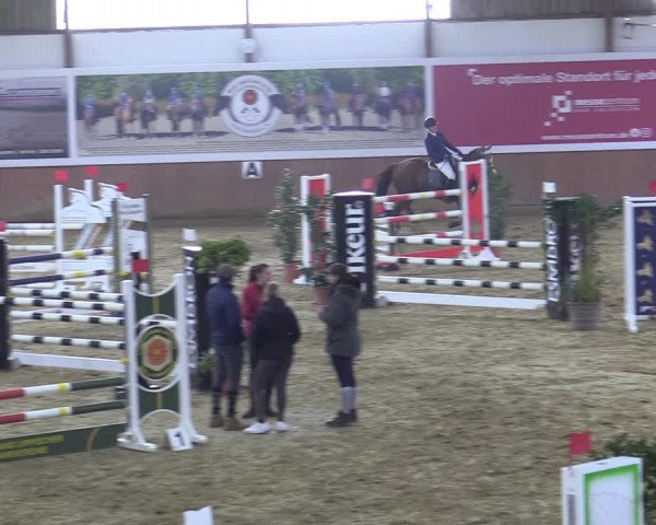 Reitturnier Bad Salzuflen 2022