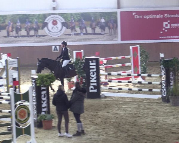 Reitturnier Bad Salzuflen 2022