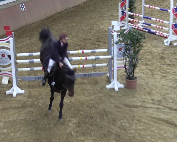 Reitturnier Bad Salzuflen 2022