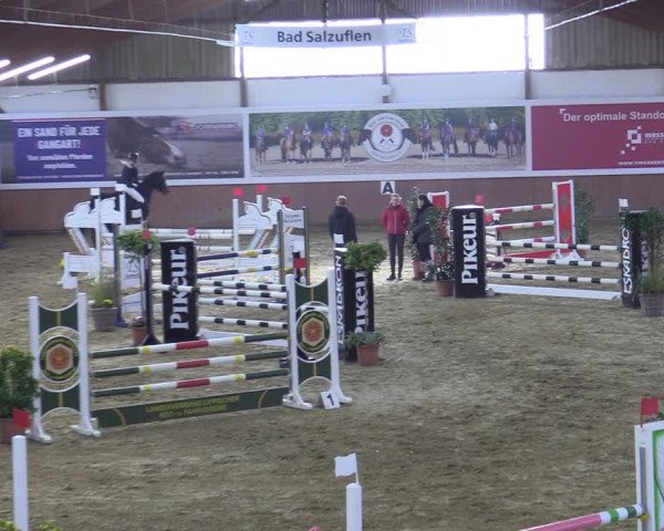 Reitturnier Bad Salzuflen 2022