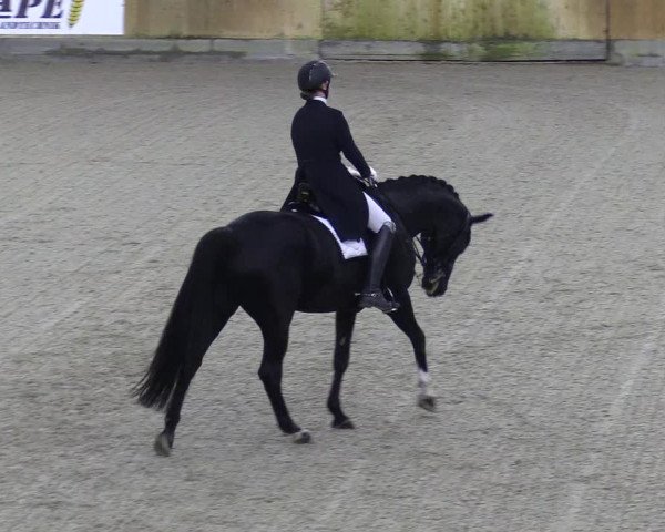 Reitturnier Großenwiehe 2022