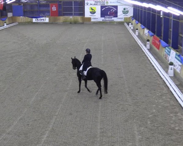 Reitturnier Großenwiehe 2022