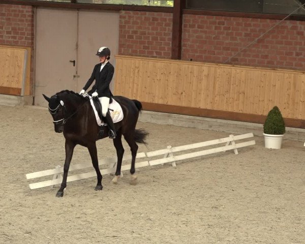 Reitturnier Hamburg-Friedrichshulde/Sylva Kuhrt 2022