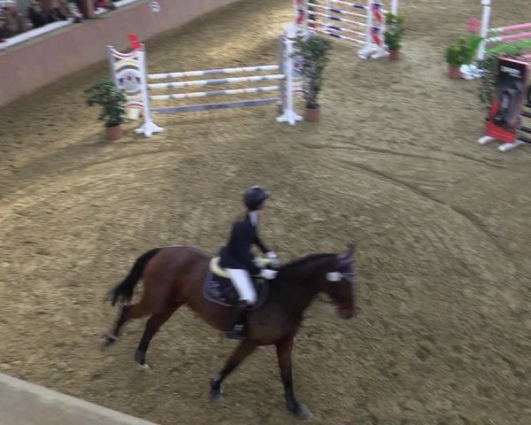 Reitturnier Bad Salzuflen 2022