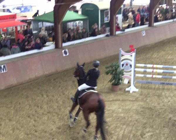Reitturnier Bad Salzuflen 2022