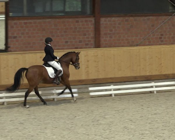 Reitturnier Hamburg-Friedrichshulde/Sylva Kuhrt 2022