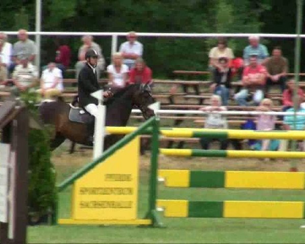 jumper Dusty RZ (Sachse, 1998, from Dunhill H)