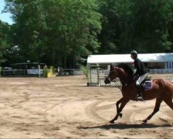 jumper Baileys 60 (Oldenburg, 2003, from Balou du Rouet)