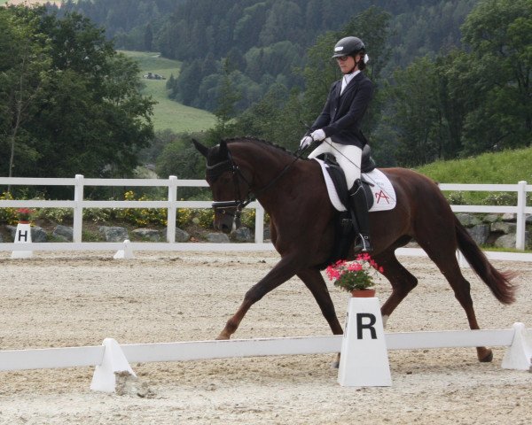 Broodmare Kassydora MW (Austrian Warmblood, 2014, from Franziskus FRH)