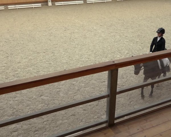 Reitturnier Hamburg-Friedrichshulde/Sylva Kuhrt 2022