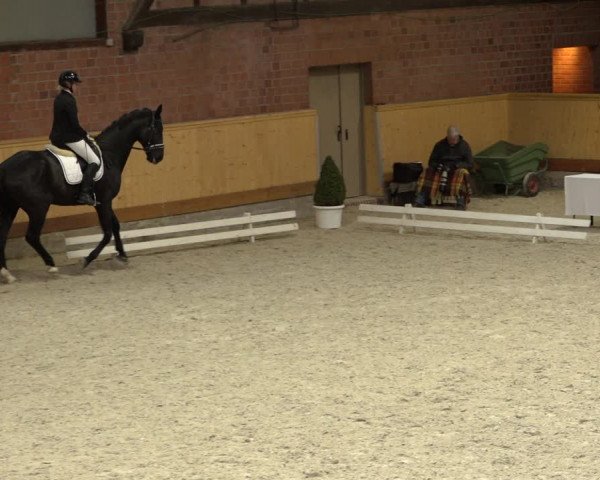 Reitturnier Hamburg-Friedrichshulde/Sylva Kuhrt 2022