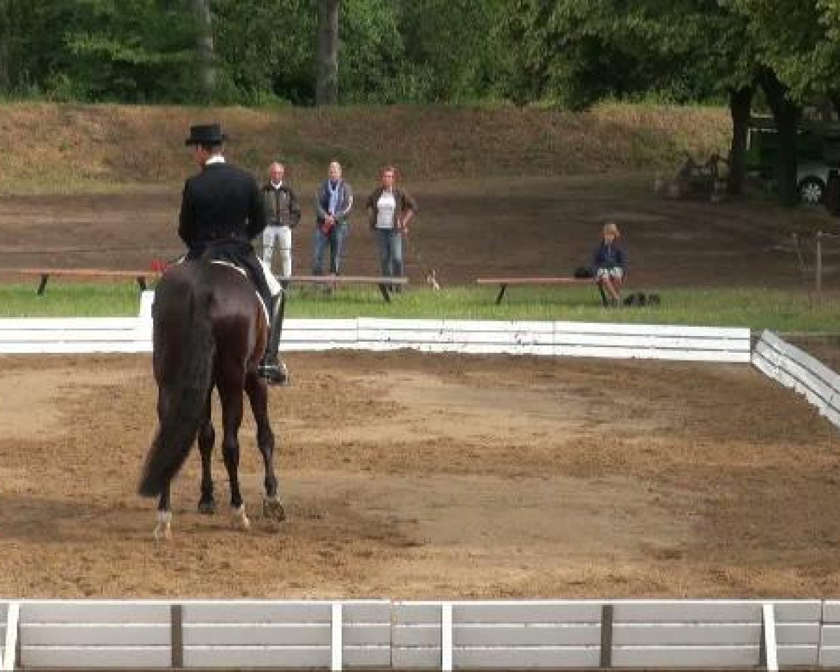 broodmare Coco Ono (Oldenburg, 2003, from Cheenook)
