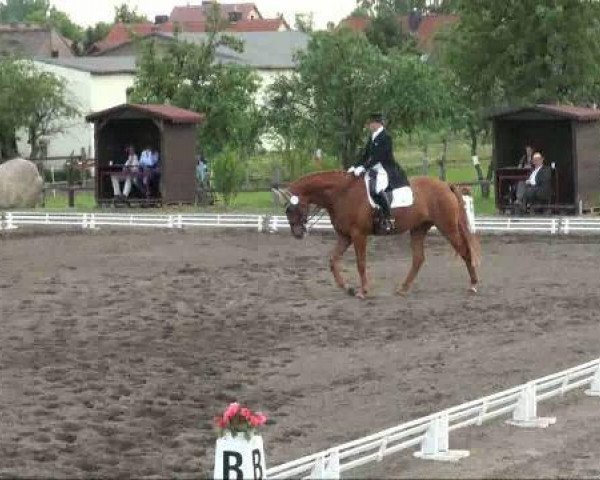 Dressurpferd Landiamo 5 (Hannoveraner, 2001, von Londonderry)