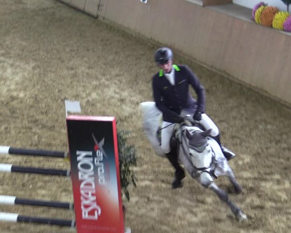 Reitturnier Bad Salzuflen 2022