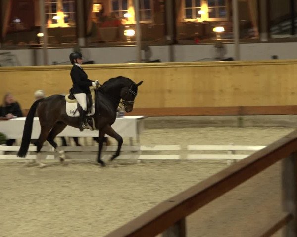 Reitturnier Hamburg-Friedrichshulde/Sylva Kuhrt 2022