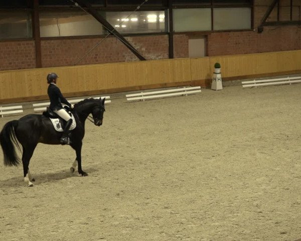 Reitturnier Hamburg-Friedrichshulde/Sylva Kuhrt 2022