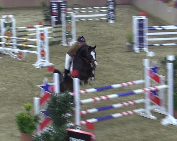 Reitturnier Bad Salzuflen 2022
