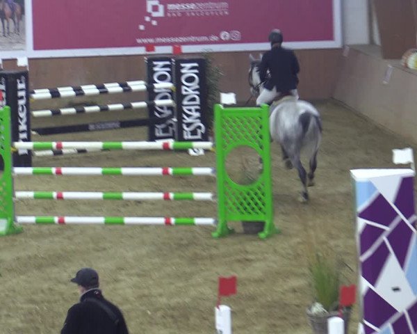 Reitturnier Bad Salzuflen 2022
