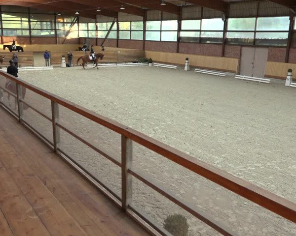 Reitturnier Hamburg-Friedrichshulde/Sylva Kuhrt 2022