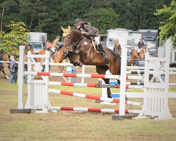horse Sheila (Hanoverian, 1993, from Singular Joter)