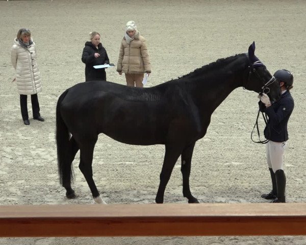 Reitturnier Hamburg-Friedrichshulde/Sylva Kuhrt 2022