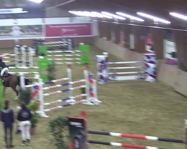 Reitturnier Bad Salzuflen 2022