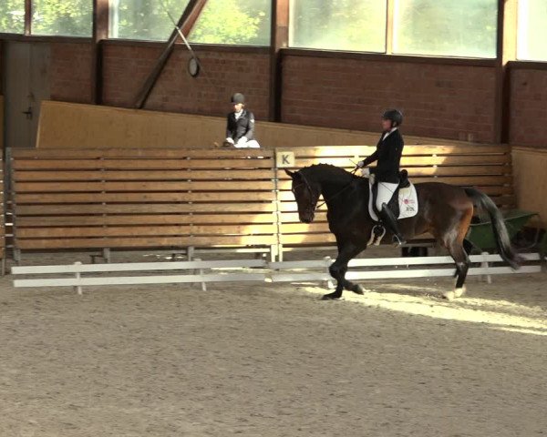 Reitturnier Hamburg-Friedrichshulde/Sylva Kuhrt 2022