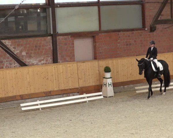 Reitturnier Hamburg-Friedrichshulde/Sylva Kuhrt 2022