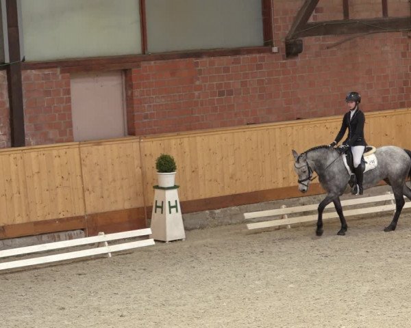 Reitturnier Hamburg-Friedrichshulde/Sylva Kuhrt 2022