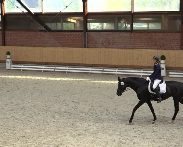 Reitturnier Hamburg-Friedrichshulde/Sylva Kuhrt 2022