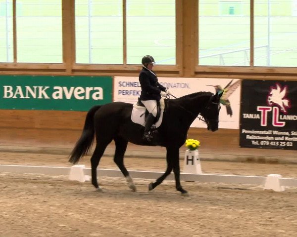 Reitturnier Rüti 2022